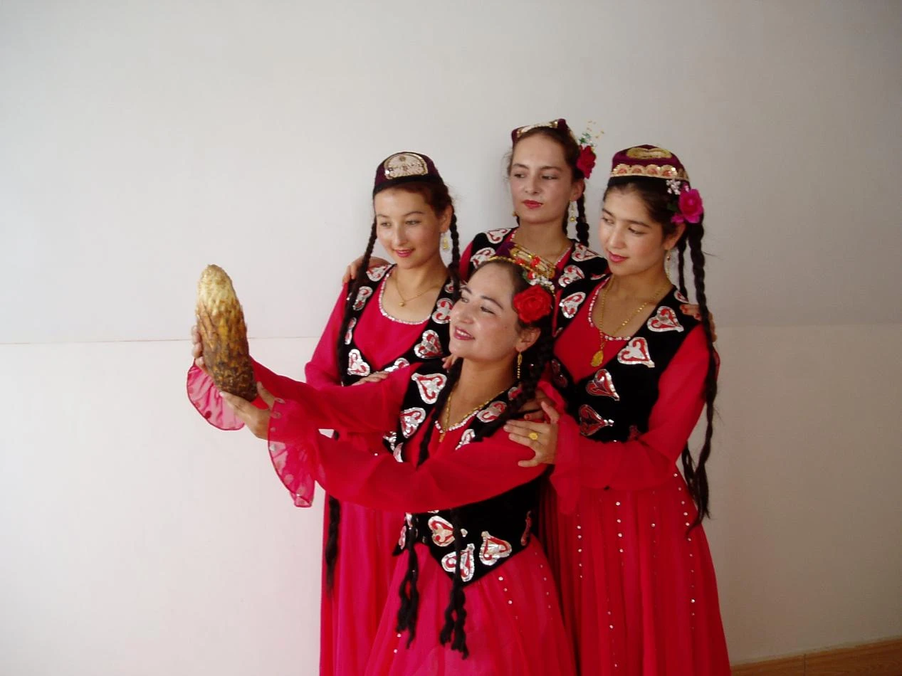 Cistanche tubulosa