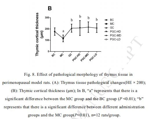Effect of pathological morphology of thymus tissue in  perimenopausal model rats.