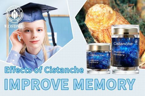 Cistanche-improve memory8
