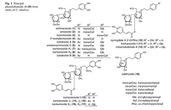 figure 1 figure 1