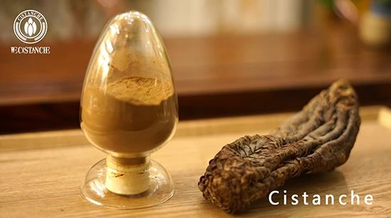 Cistanche tubulosa- Cistanche tubulosa-