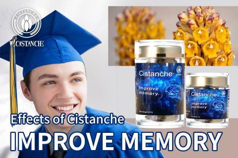 Cistanche-improve memory4