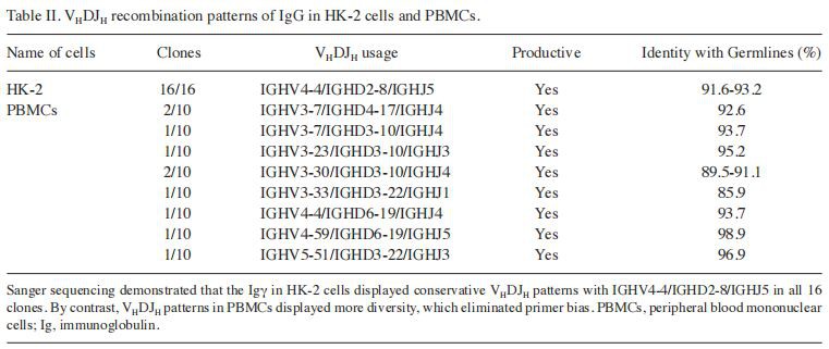 Table II. VHDJH recombination patterns of IgG in HK‑2 cells and PBMCs. Table II. VHDJH recombination patterns of IgG in HK‑2 cells and PBMCs.