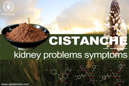 to prevent chronic kidney disease to prevent chronic kidney disease