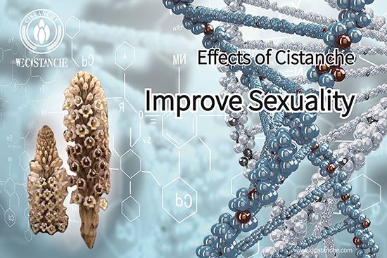 cistanche can improve kidney function