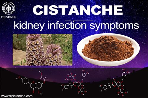 kidney transplantation to treat kidbey infection symptoms