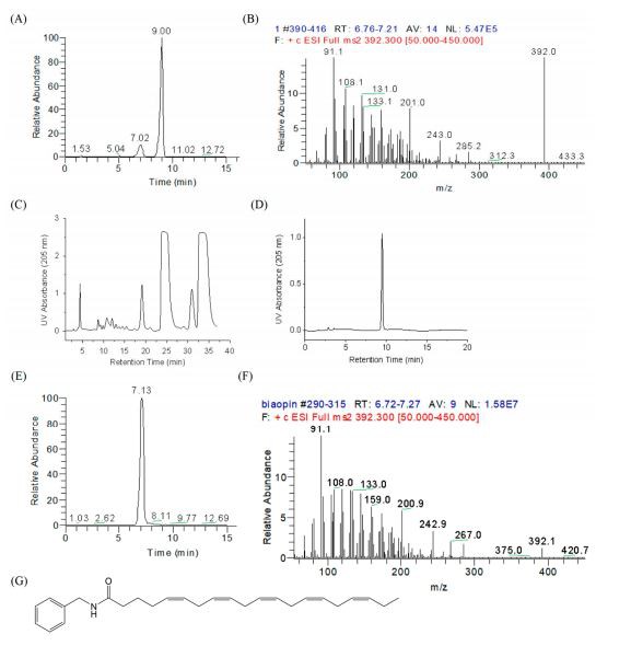 matograms and MS/MS spectra of natural NB-EPA and synthetic NB-EPA.