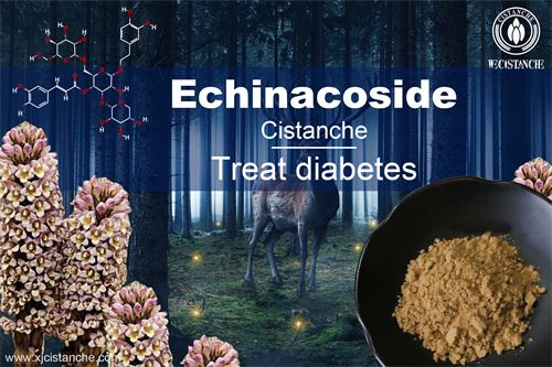 Cistanche deserticola have many effects, click here to know more Cistanche deserticola have many effects, click here to know more