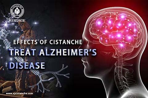 Anti Alzheimer's disease (8)