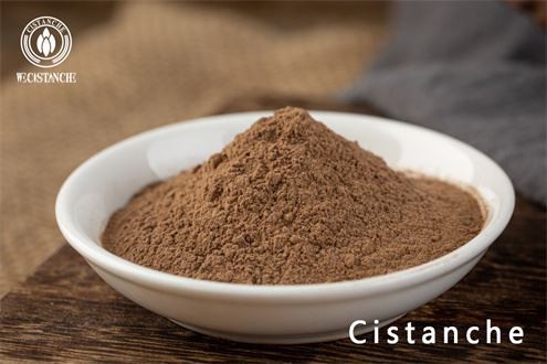 cistanche