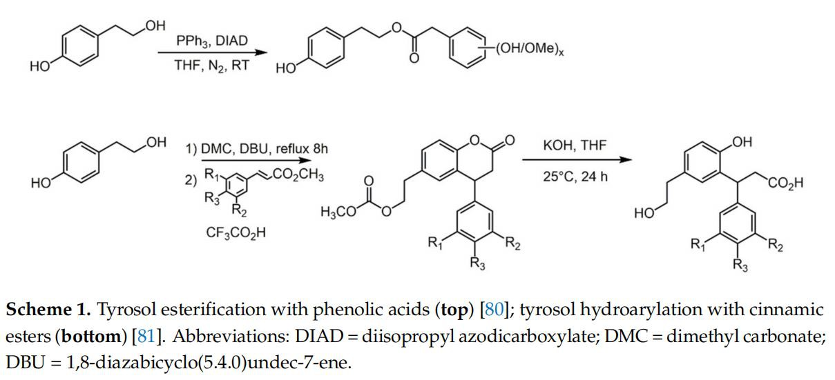 Tyrosol esterification with phenolic acids (top) [80]; tyrosol hydroarylation with cinnamic esters (bottom) [81]. Abbreviations: DIAD = diisopropyl azodicarboxylate; DMC = dimethyl carbonate; DBU = 1,8-diazabicyclo(5.4.0)undec-7-ene.