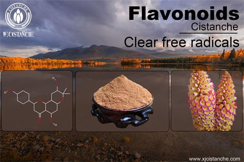 flavonoids clear free radicals