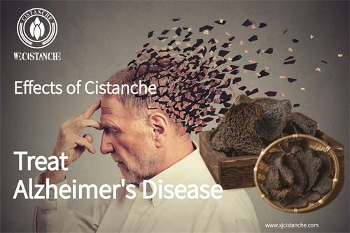 Cistanche as a dietary supplement may prevent Alzheimer's disease