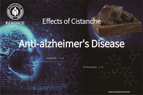 dr vita opc cistanche for AD