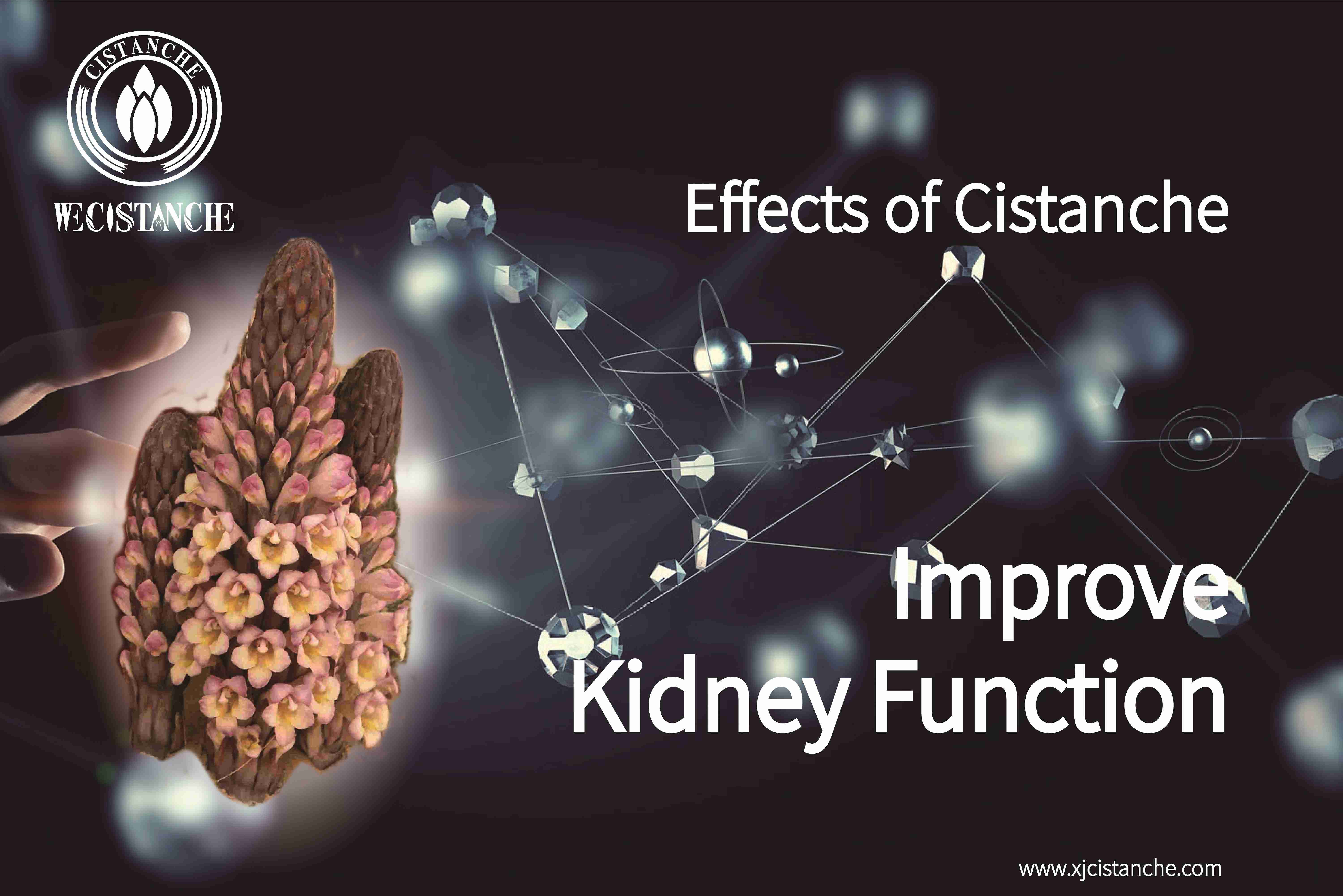 how to treat kidney disease