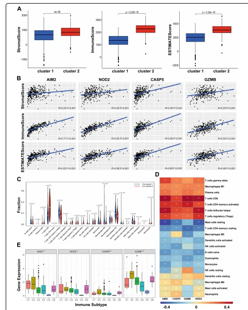 TIME characteristics among four pyroptosis regulators. A Diferent expression of ESTIMATE score, immune score, and stromal score between  two clusters. B The correlation of ESTIMATE score, immune score, and stromal score with the four pyroptosis regulators. C Diferences in the levels  of infltration of the immune cells in two clusters. D Heatmap of the correlation of the levels of infltration of the immune cells with four pyroptosis  regulators. E The correlation of pyroptosis regulators expression with immune infltrate subtypes in ccRCC. NS no signifcant diference, *p <0.05, **p <0.01, and ***p <0.001