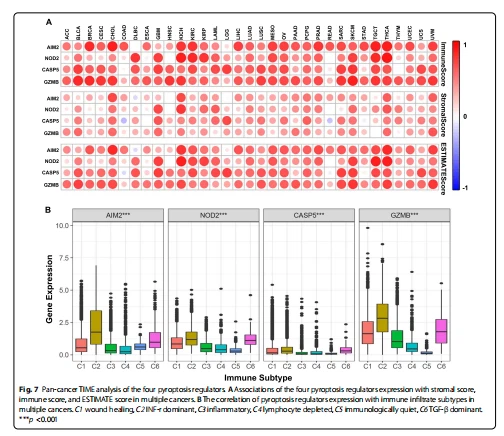 Pan-cancer TIME analysis of the four pyroptosis regulators. A Associations of the four pyroptosis regulators expression with stromal score,  immune score, and ESTIMATE score in multiple cancers. B The correlation of pyroptosis regulators expression with immune infltrate subtypes in  multiple cancers. C1 wound healing, C2 INF-r dominant, C3 infammatory, C4 lymphocyte depleted, C5 immunologically quiet, C6 TGF-β dominant.  ***p <0.001