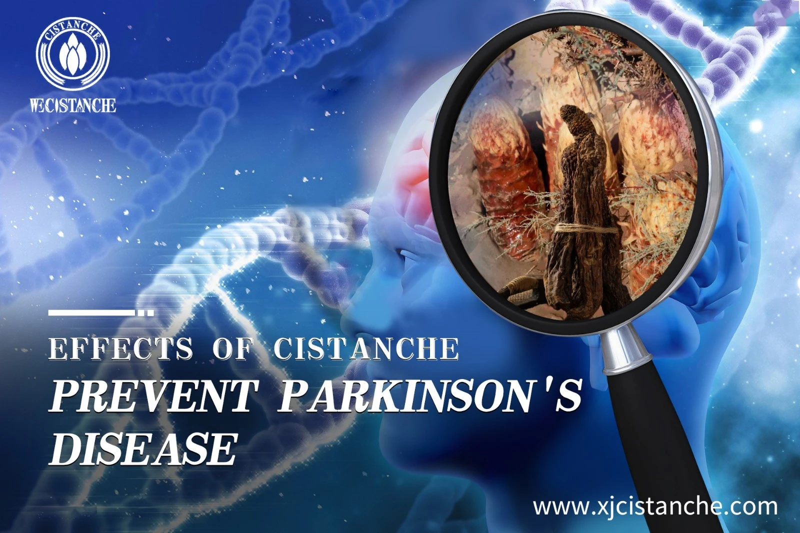 prevent parkinson's disease prevent parkinson's disease