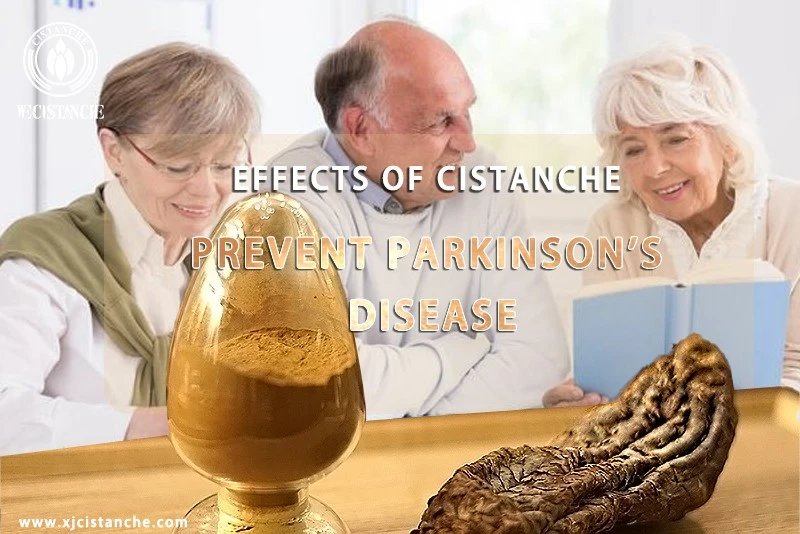 natural herb for parkinson's disease natural herb for parkinson's disease