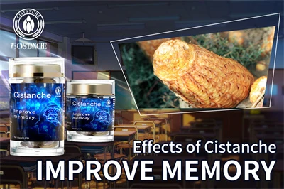 Cistanche benefits