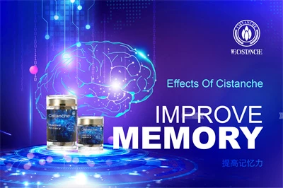 Cistanche benefits