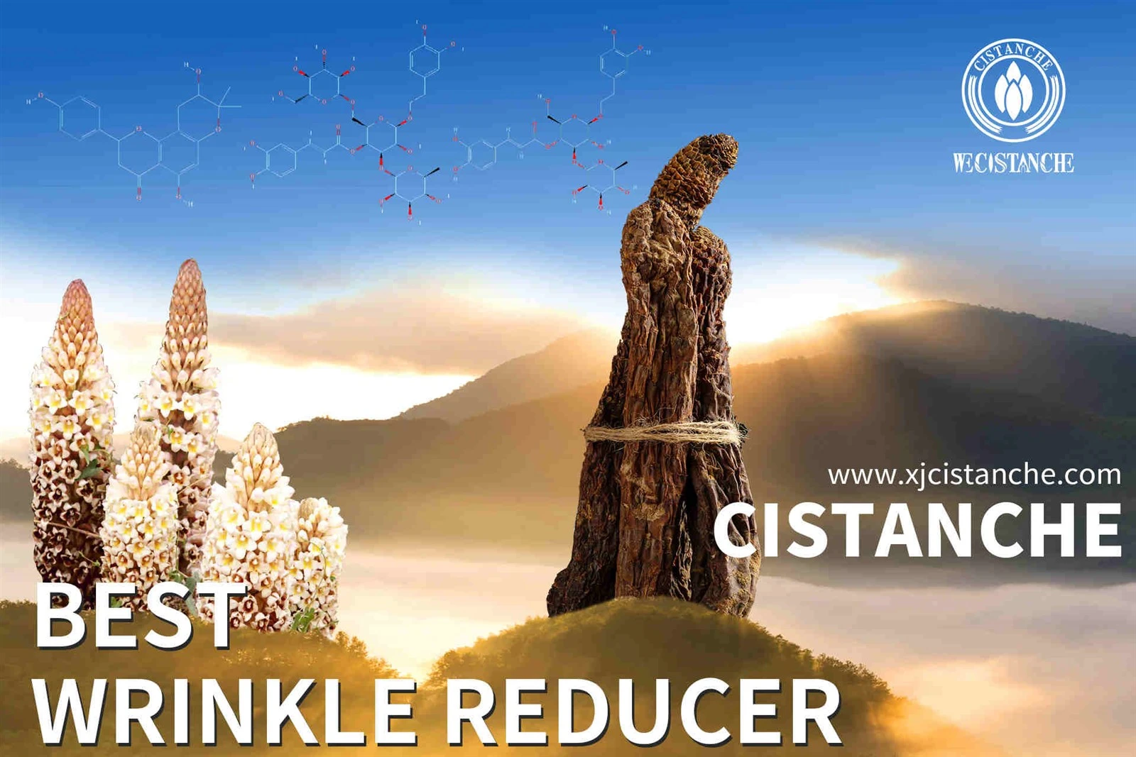 cistanche reddit