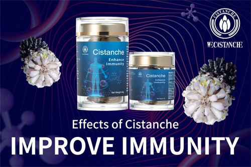 cistanche penis growth cistanche penis growth