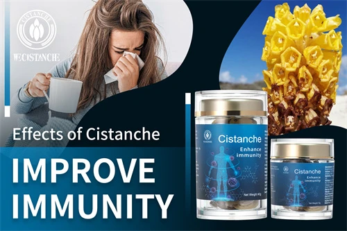 cistanche dosagem cistanche dosagem