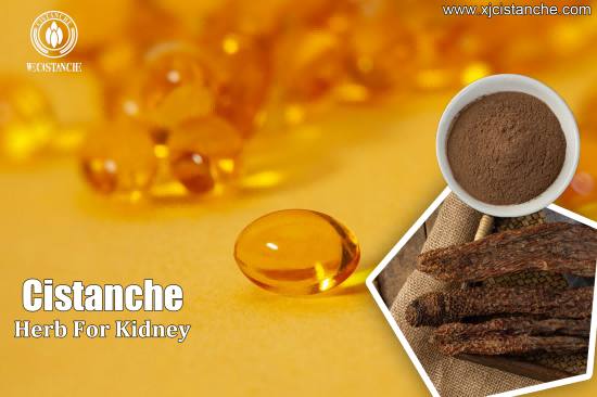 25% 50% echinacoside cistanche