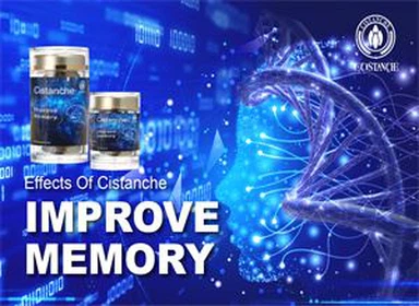 Добавките Cistanche подобряват паметта и предотвратяват болестта на Паркинсон