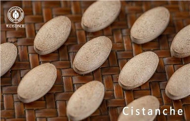 Добавка за подобряване на функцията на паметта Cistanche Tubulosa