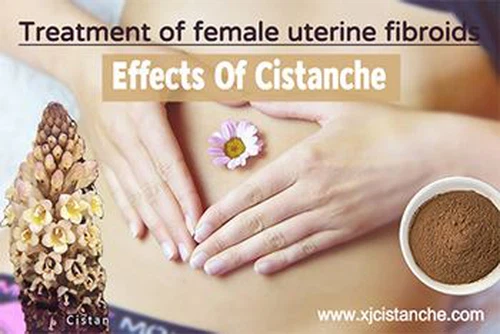 cistanche effect cistanche effect